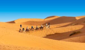 Read more about the article The Best Tour Companies in Morocco