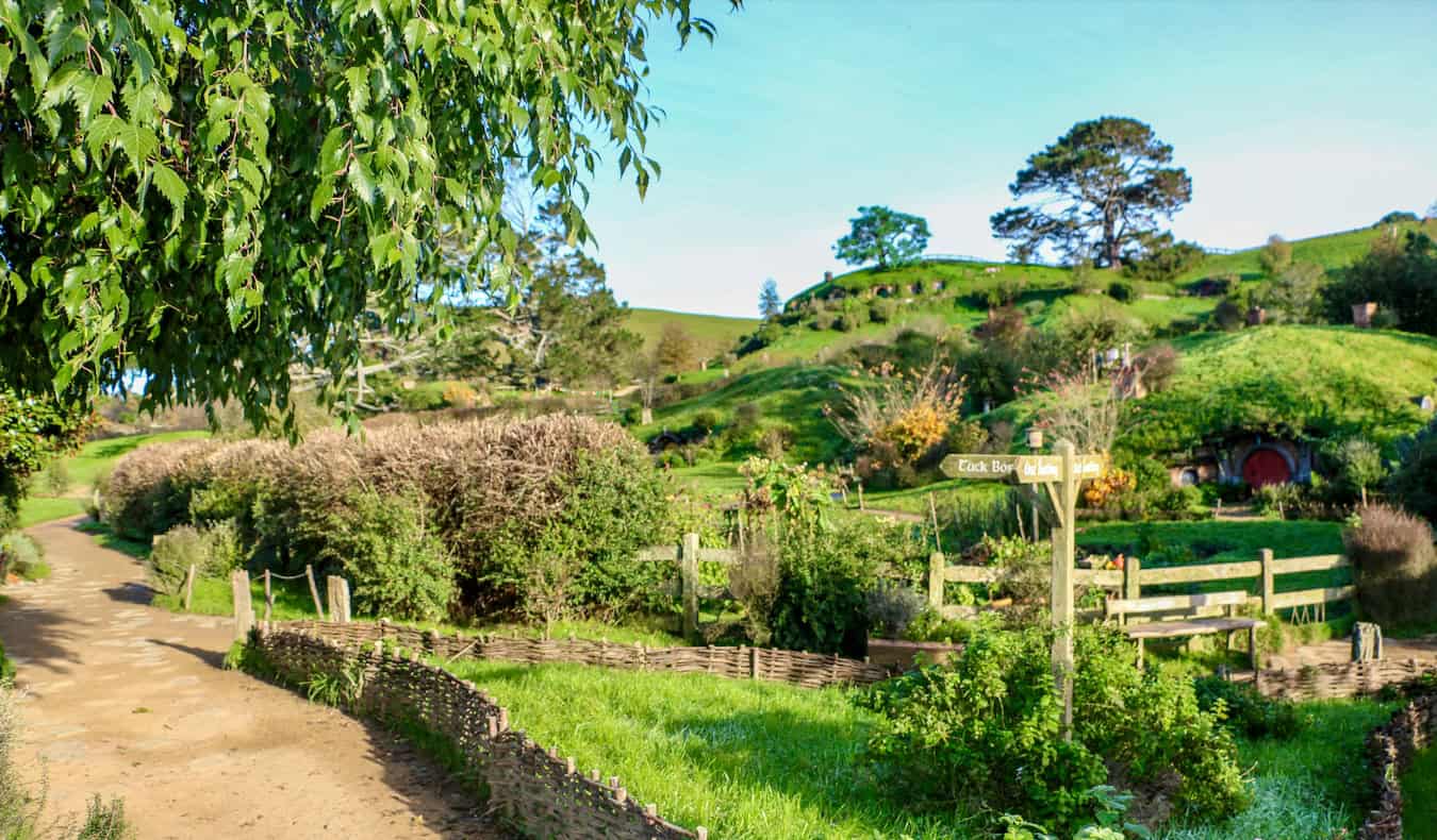 Read more about the article My Ultimate Road Trip Itinerary for New Zealand’s North Island