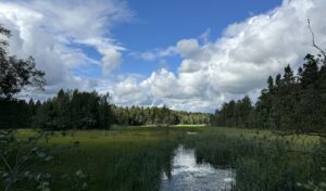 Read more about the article A 10 Day Itinerary Down Sweden’s Coast